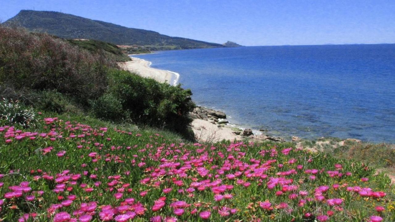 Alba Stupendo Appartamento In Villa Fronte Mare - Golfo Dell'Asinara - Internet Free Valledoria  Buitenkant foto